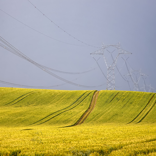 PERDAMAN <br> ENERGY